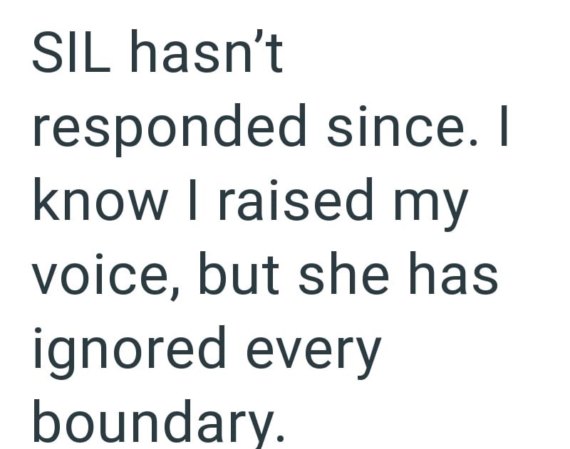 SIL hasn't responded since. I know I raised my voice, but she has ignored every boundary.