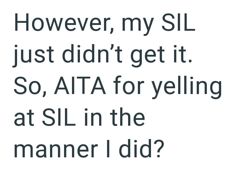 However, my SIL just didn't get it. So, AITA for yelling at SIL in the manner I did?