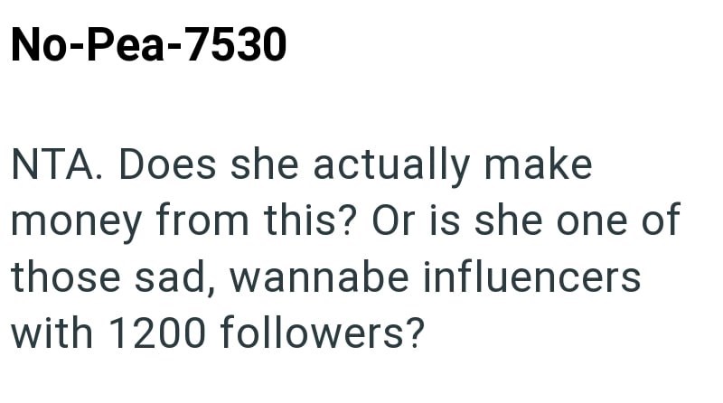 No-Pea-7530 NTA. Does she actually make money from this? Or is she one of those sad, wannabe influencers with 1200 followers?