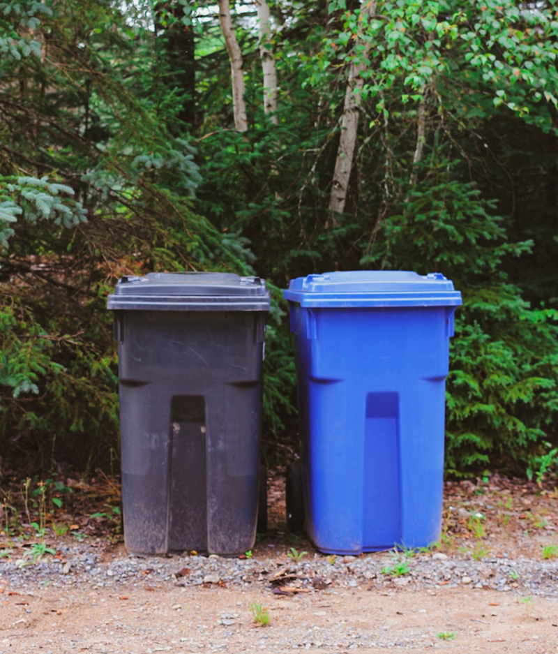 Cheezburger Image 10613767424