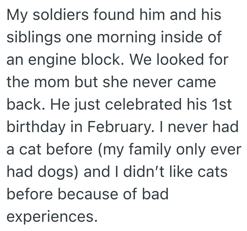 My soldiers found him and his siblings one morning inside of an engine block. We looked for the mom but she never came back. He just celebrated his 1st birthday in February. I never had a cat before (my family only ever had dogs) and I didn't like cats before because of bad experiences.