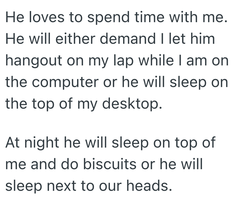He loves to spend time with me. He will either demand I let him hangout on my lap while I am on the computer or he will sleep on the top of my desktop. At night he will sleep on top of me and do biscuits or he will sleep next to our heads.