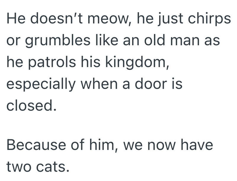 He doesn't meow, he just chirps or grumbles like an old man as he patrols his kingdom, especially when a door is closed. Because of him, we now have two cats.