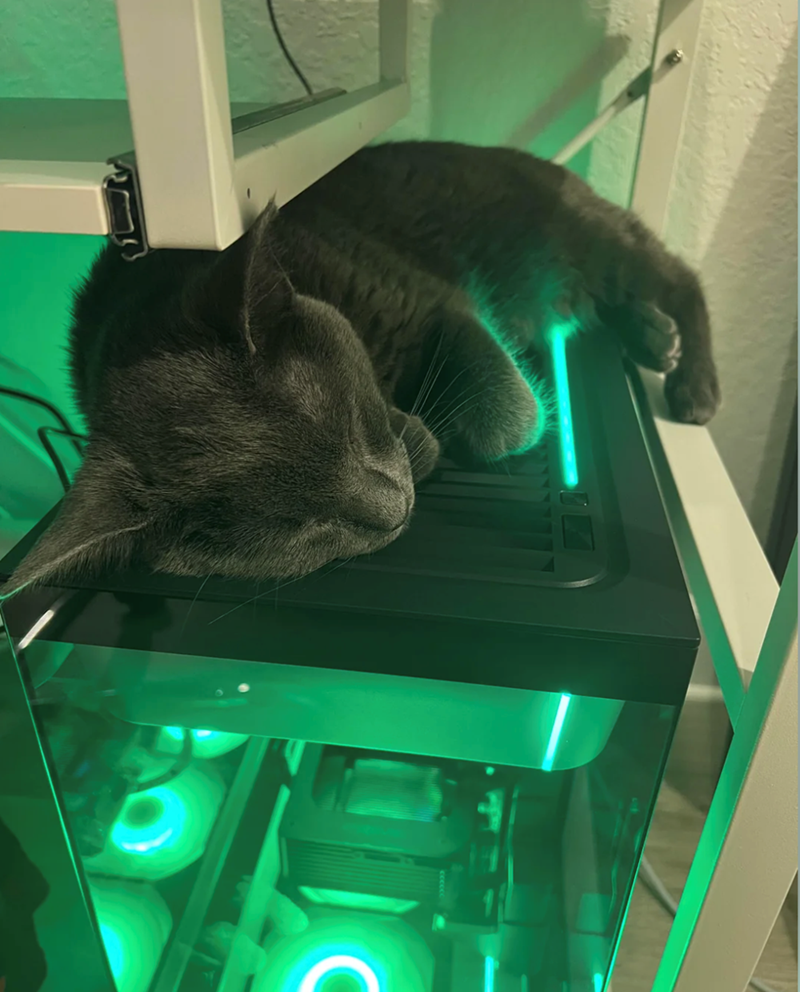 Cheezburger Image 10613773568