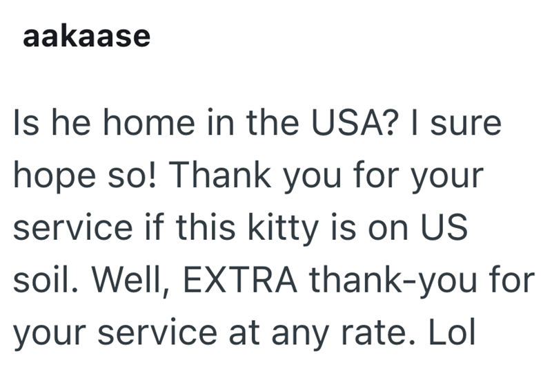 aakaase Is he home in the USA? I sure hope so! Thank you for your service if this kitty is on US soil. Well, EXTRA thank-you for your service at any rate. Lol