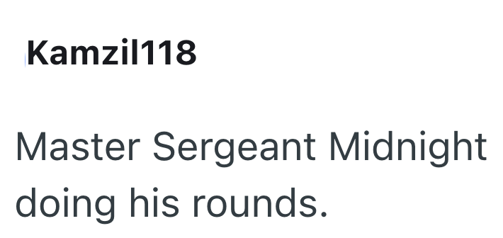 Kamzil118 Master Sergeant Midnight doing his rounds.