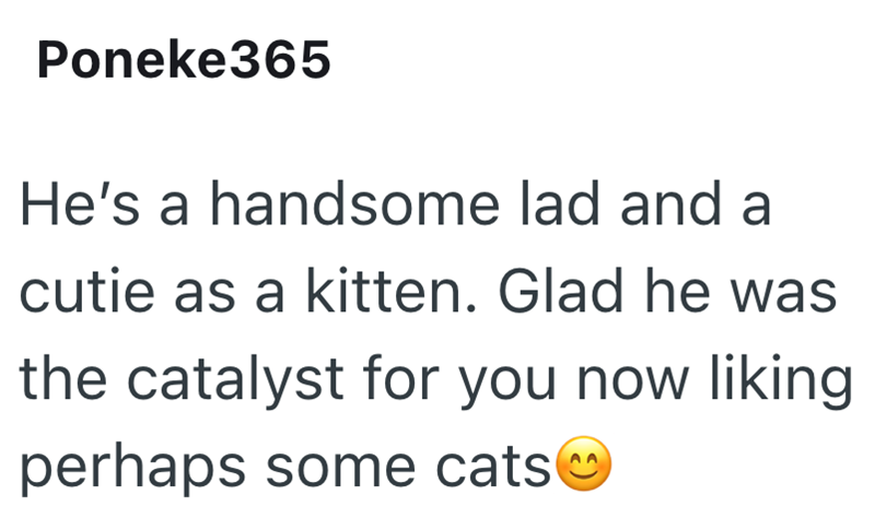 Poneke365 He's a handsome lad and a cutie as a kitten. Glad he was the catalyst for you now liking perhaps some cats