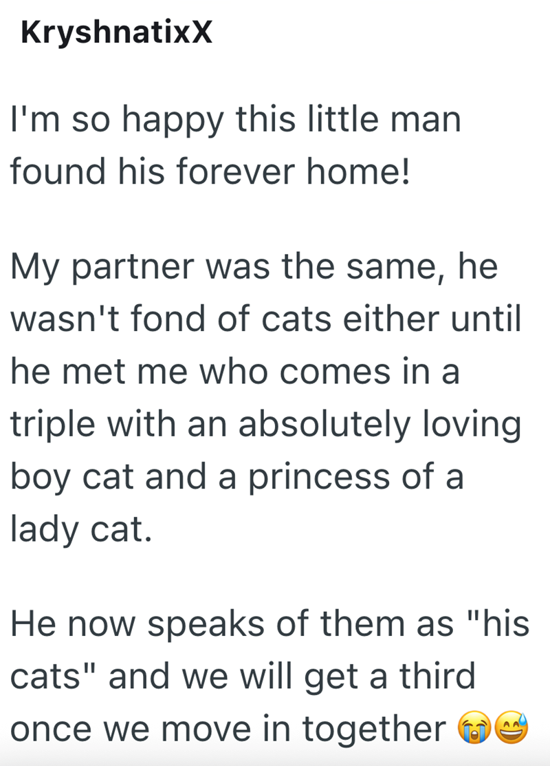 KryshnatixX I'm so happy this little man found his forever home! My partner was the same, he wasn't fond of cats either until he met me who comes in a triple with an absolutely loving boy cat and a princess of a lady cat. He now speaks of them as "his cats" and we will get a third once we move in together A