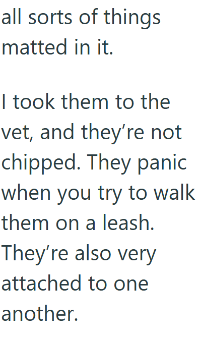 all sorts of things matted in it. I took them to the vet, and they're not chipped. They panic when you try to walk them on a leash. They're also very attached to one another.