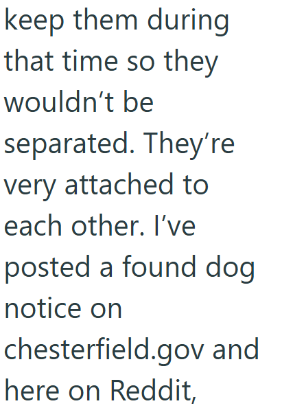 keep them during that time so they wouldn't be separated. They're very attached to each other. I've posted a found dog notice on chesterfield.gov and here on Reddit,