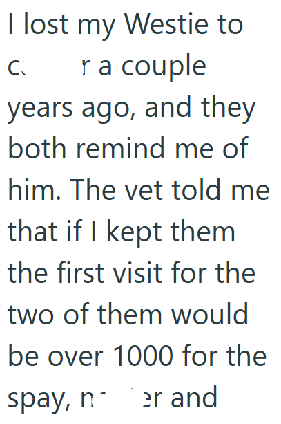 I lost my Westie to CO r a couple years ago, and they both remind me of him. The vet told me that if I kept them the first visit for the two of them would be over 1000 for the spay, n er and