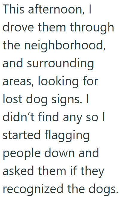 This afternoon, I drove them through the neighborhood, and surrounding areas, looking for lost dog signs. I didn't find any so I started flagging people down and asked them if they recognized the dogs.