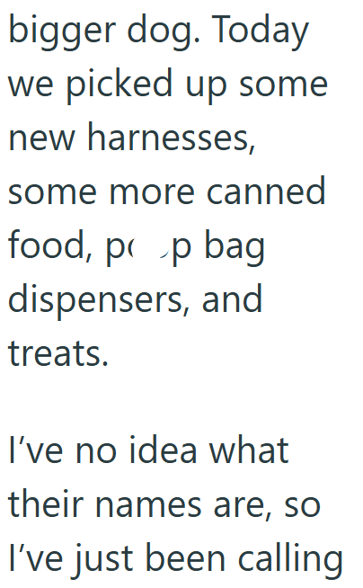 bigger dog. Today we picked up some new harnesses, some more canned food, pop bag dispensers, and treats. I've no idea what their names are, so I've just been calling