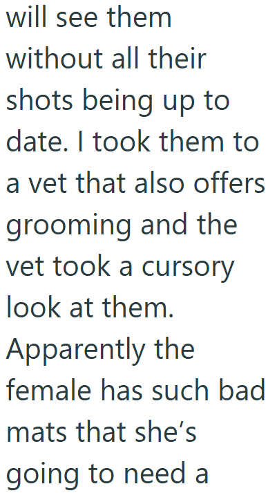 will see them without all their shots being up to date. I took them to a vet that also offers grooming and the vet took a cursory look at them. Apparently the female has such bad mats that she's going to need a