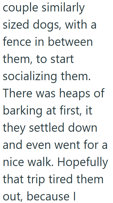 couple similarly sized dogs, with a fence in between them, to start socializing them. There was heaps of barking at first, it they settled down and even went for a nice walk. Hopefully that trip tired them out, because I