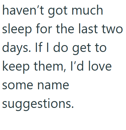 haven't got much sleep for the last two days. If I do get to keep them, I'd love some name suggestions.