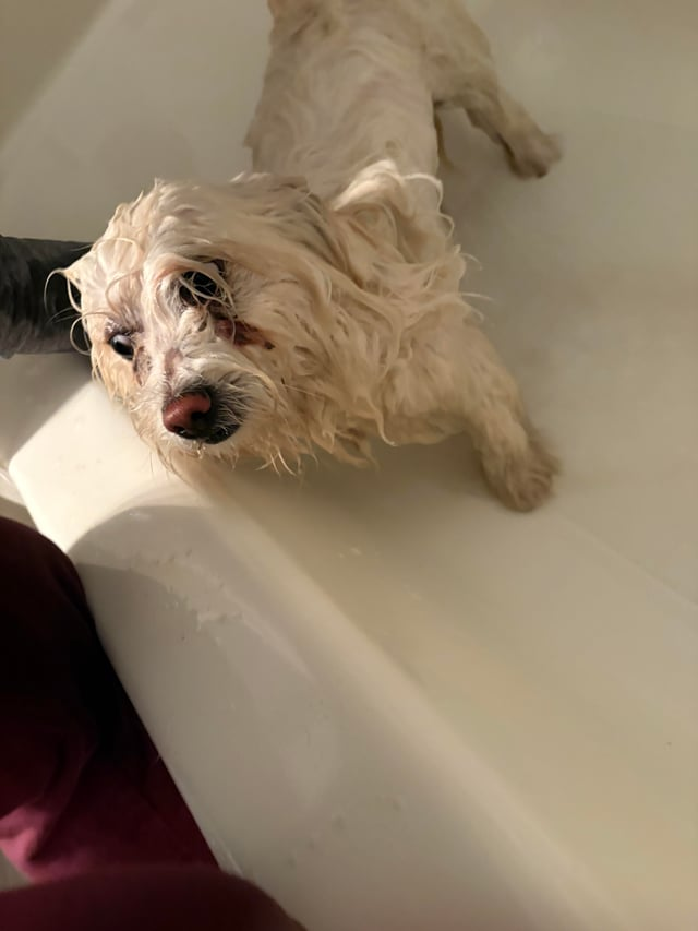 Cheezburger Image 10613782016