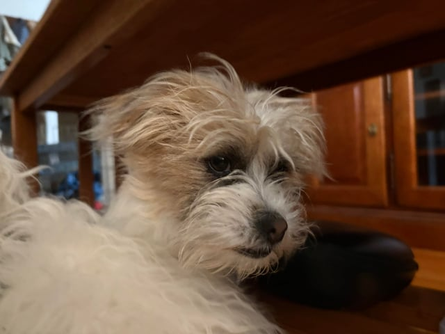 Cheezburger Image 10613782272