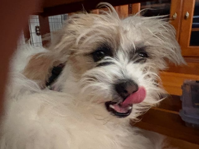 Cheezburger Image 10613782528