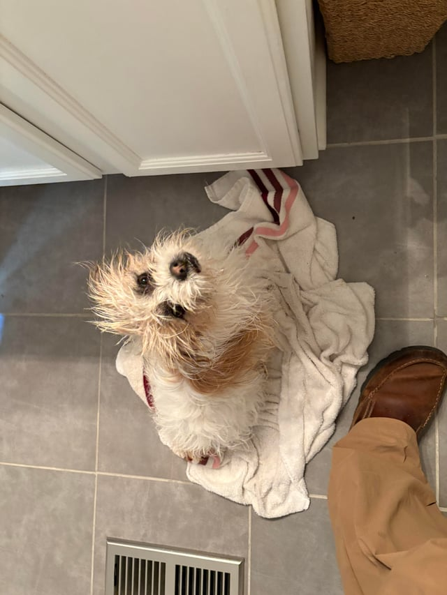 Cheezburger Image 10613782784