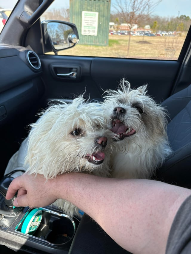 Cheezburger Image 10613783040