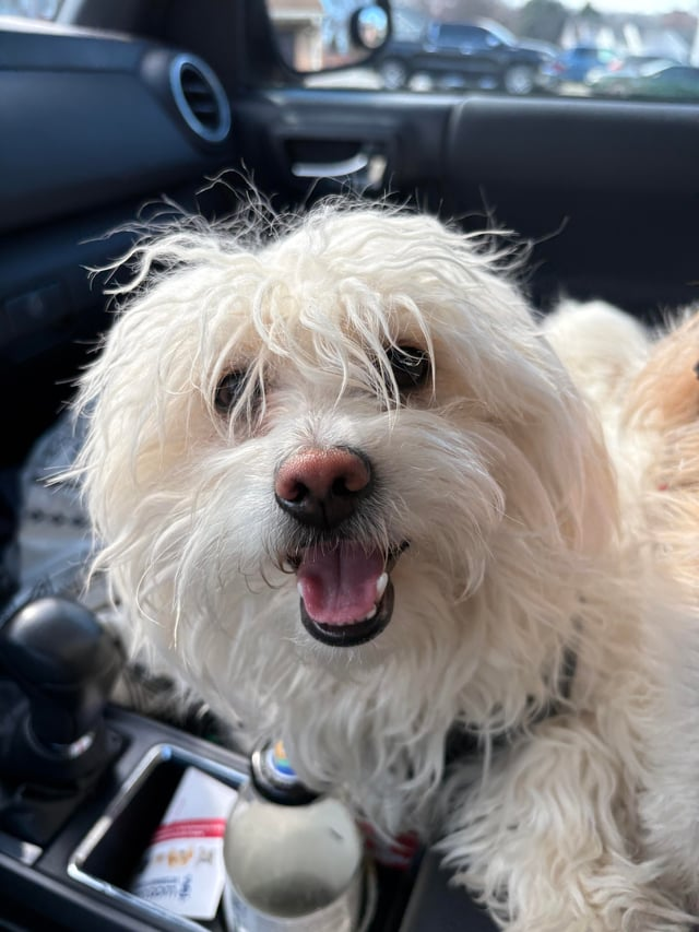 Cheezburger Image 10613783808