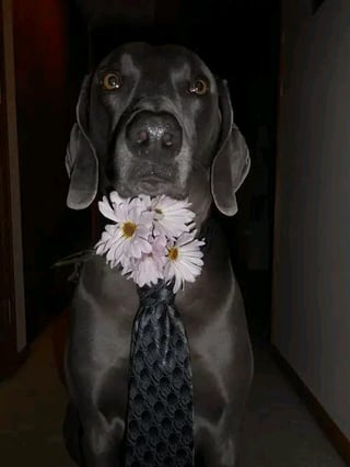 Cheezburger Image 10613784320