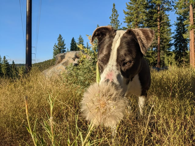 Cheezburger Image 10613784576