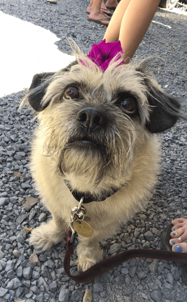 Cheezburger Image 10613784832