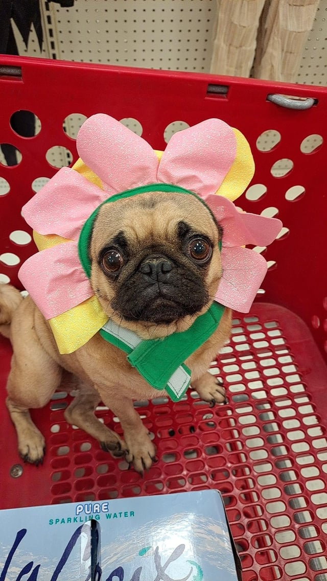 La PURE SPARKLING WATER 4