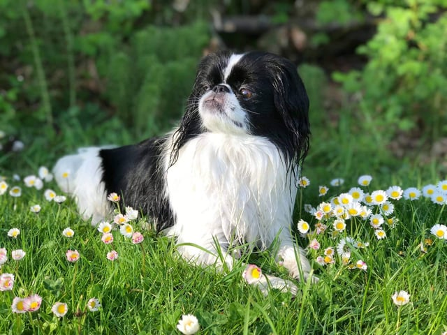 Cheezburger Image 10613786624