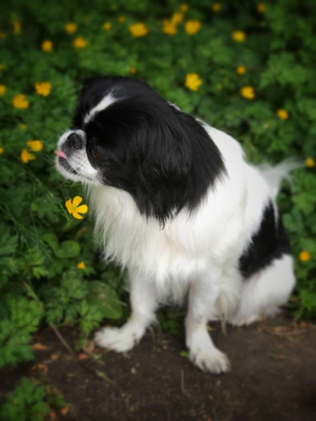 Cheezburger Image 10613786880