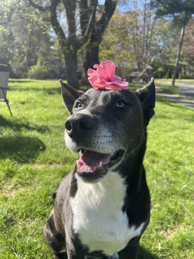 Cheezburger Image 10613787392