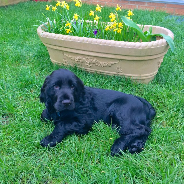 Cheezburger Image 10613787648