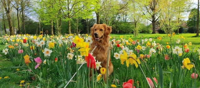 Cheezburger Image 10613787904