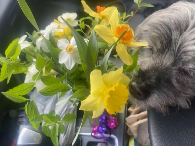 Cheezburger Image 10613788416