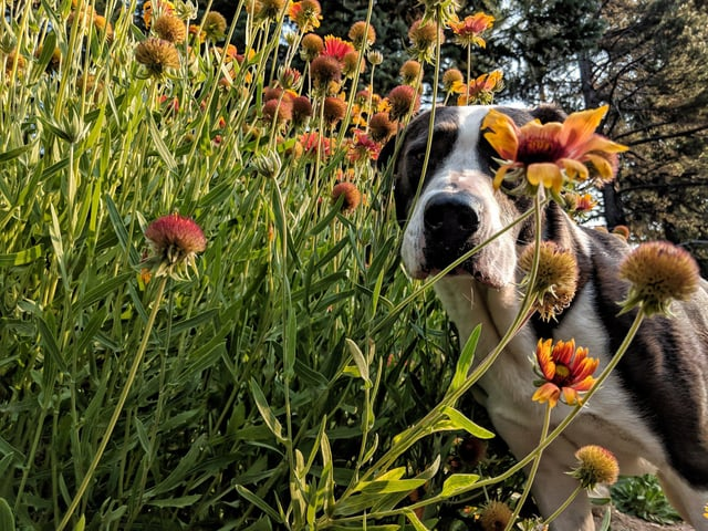 Cheezburger Image 10613788672