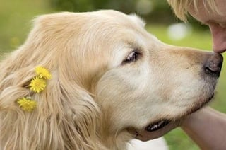 Cheezburger Image 10613788928