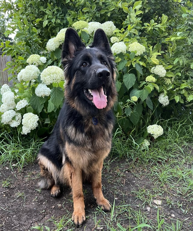 Cheezburger Image 10613789184