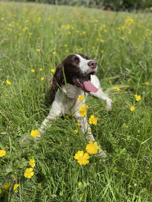 Cheezburger Image 10613789696