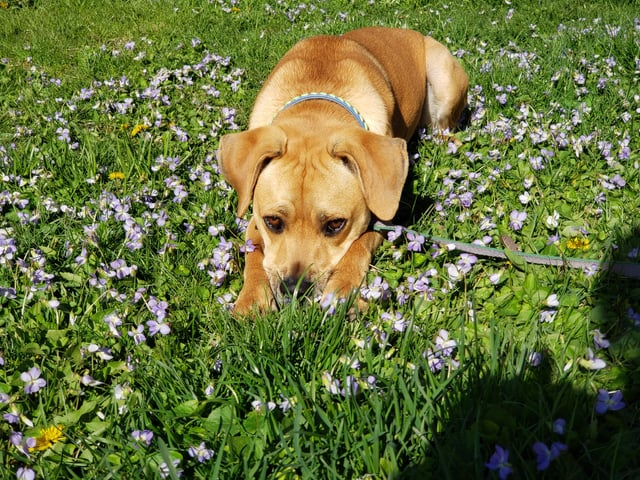 Cheezburger Image 10613789952