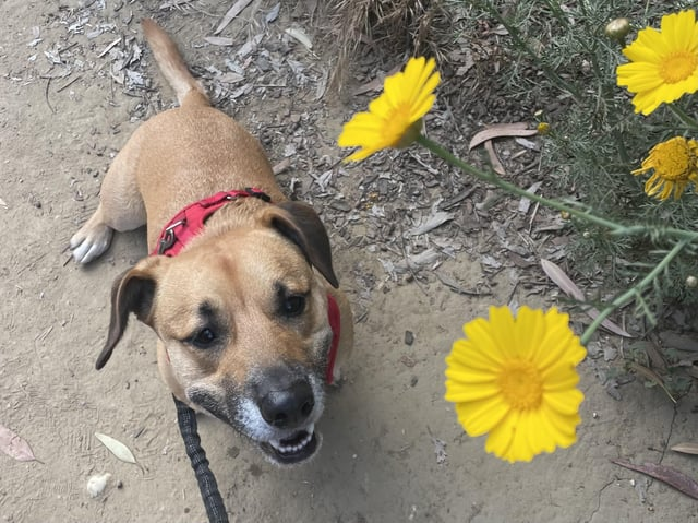 Cheezburger Image 10613790464