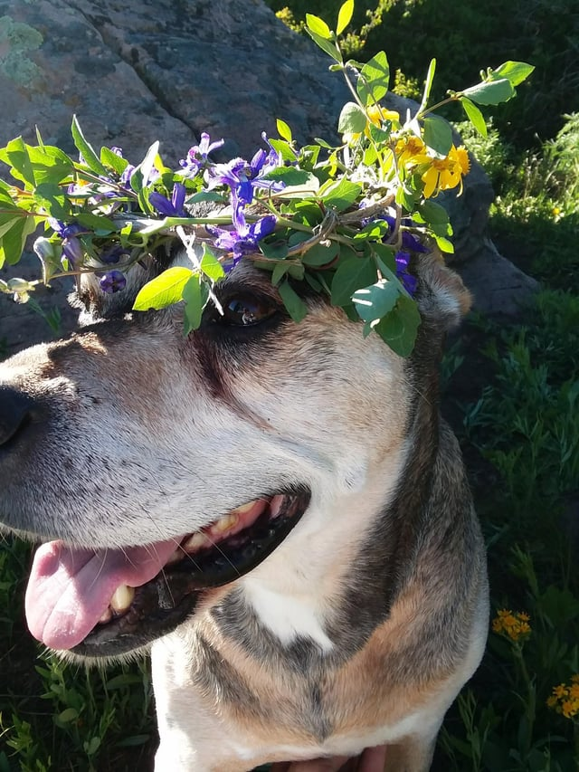 Cheezburger Image 10613790976