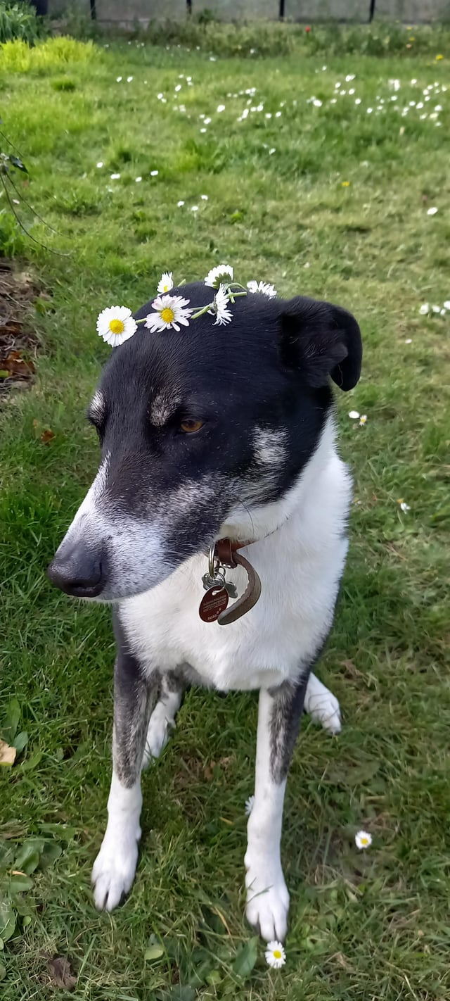 Cheezburger Image 10613791232