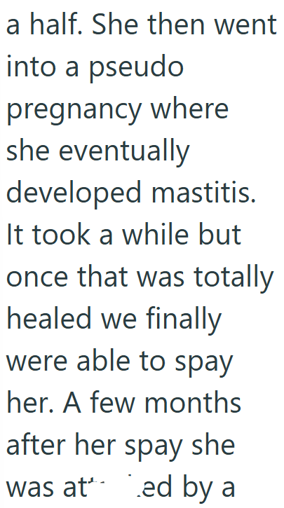 a half. She then went into a pseudo pregnancy where she eventually developed mastitis. It took a while but once that was totally healed we finally were able to spay her. A few months after her spay she was ated by a