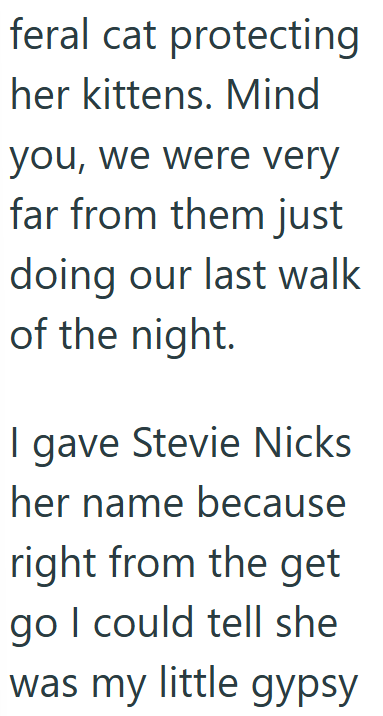 feral cat protecting her kittens. Mind you, we were very far from them just doing our last walk of the night. I gave Stevie Nicks her name because right from the get go I could tell she was my little gypsy
