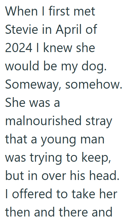 When I first met Stevie in April of 2024 I knew she would be my dog. Someway, somehow. She was a malnourished stray that a young man was trying to keep, but in over his head. I offered to take her then and there and