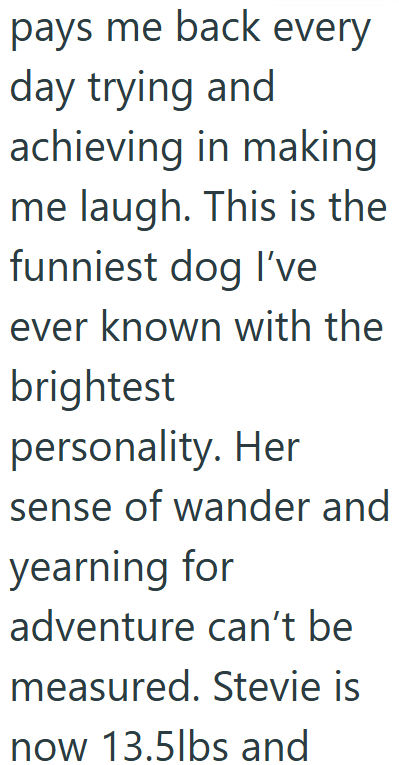 pays me back every day trying and achieving in making me laugh. This is the funniest dog I've ever known with the brightest personality. Her sense of wander and yearning for adventure can't be measured. Stevie is now 13.5lbs and