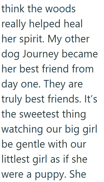 think the woods really helped heal her spirit. My other dog Journey became her best friend from day one. They are truly best friends. It's the sweetest thing watching our big girl be gentle with our littlest girl as if she were a puppy. She