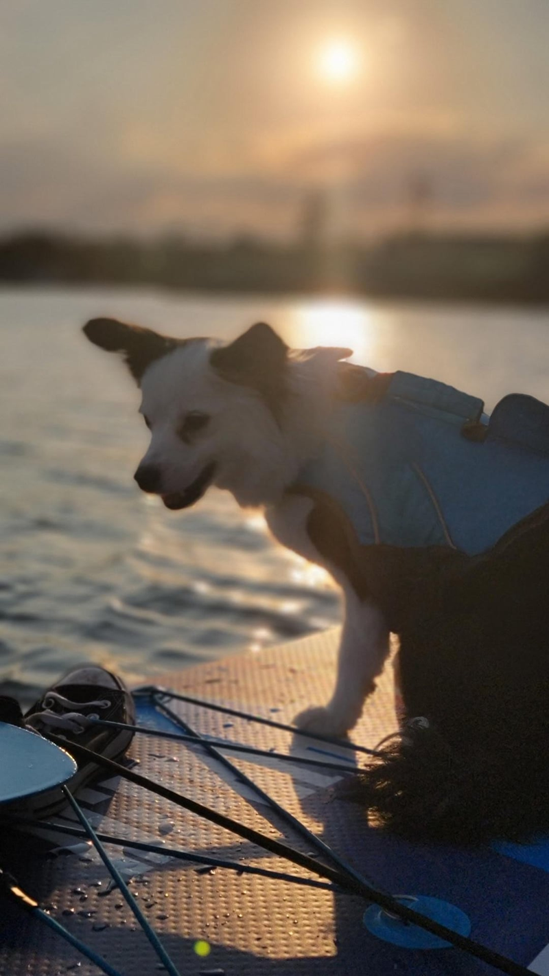 Cheezburger Image 10613796096